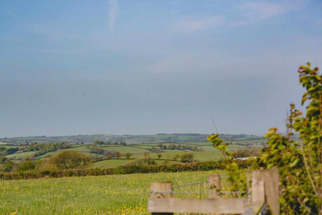 Maes Y Mel- A Couples, Pet Friendly, Rural Romantic Getaway With Countryside Views Gellywen Eksteriør bilde