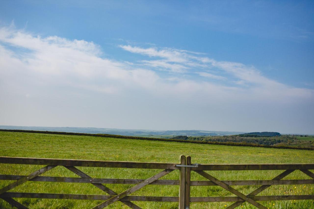 Maes Y Mel- A Couples, Pet Friendly, Rural Romantic Getaway With Countryside Views Gellywen Eksteriør bilde